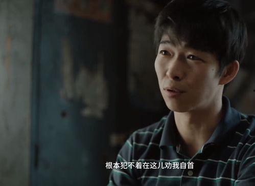 雨笙爆料大结局视频  第3张